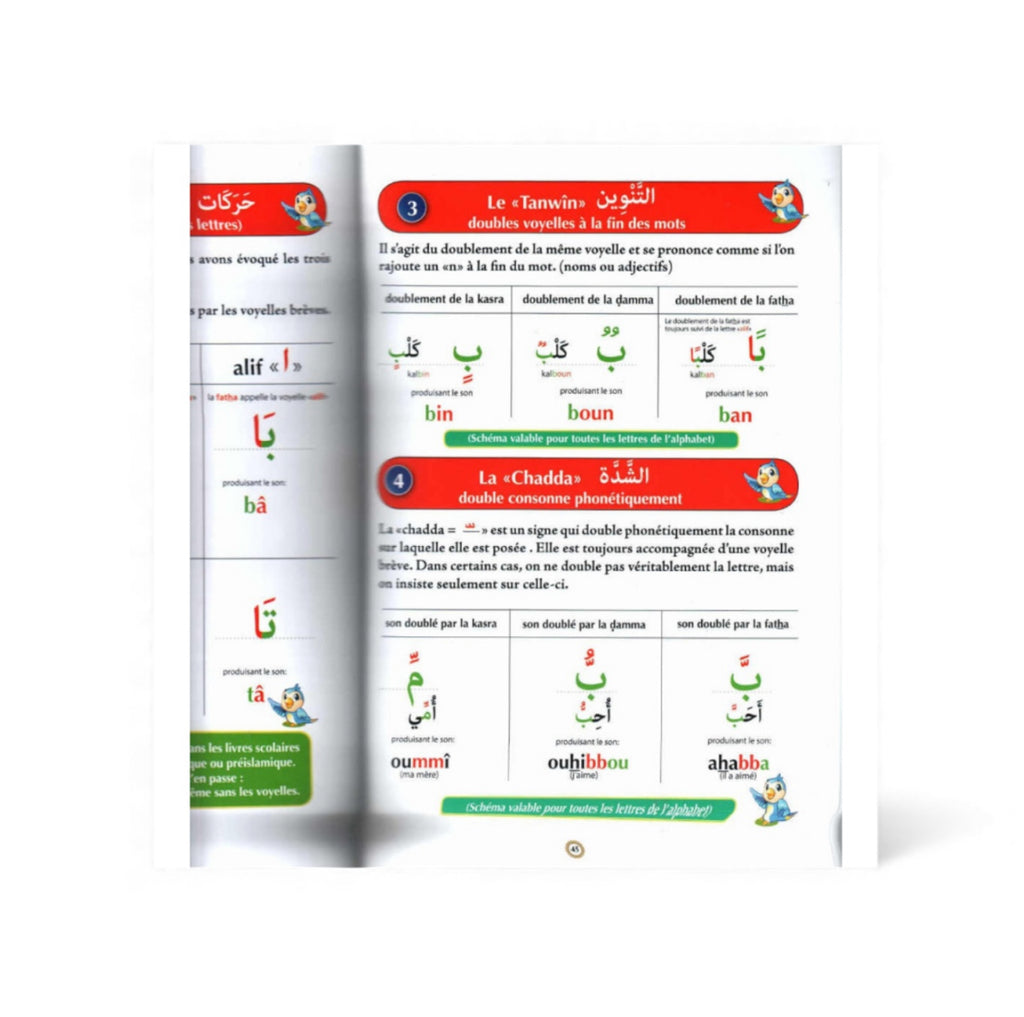 Apprendre l'arabe : méthode intensive pour les francophones - Sana